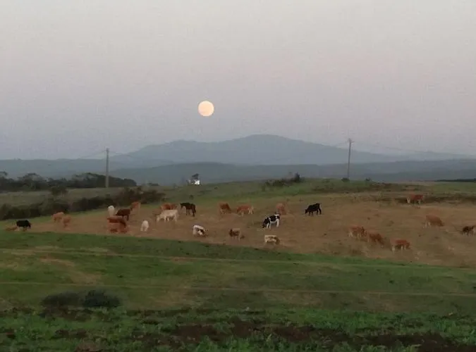 Chabouco 2 Apartment *