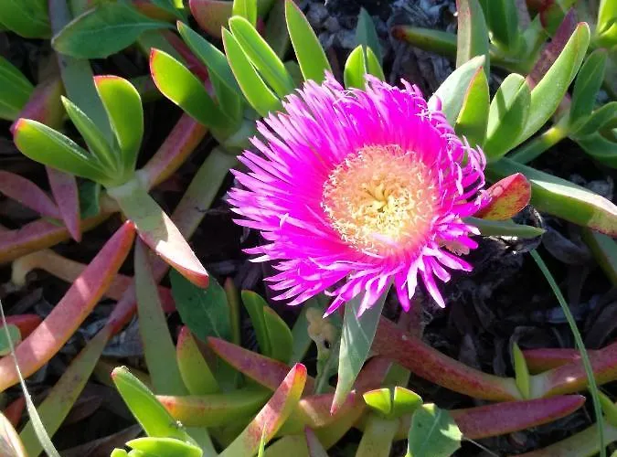 Chabouco 2 Apartment Aljezur